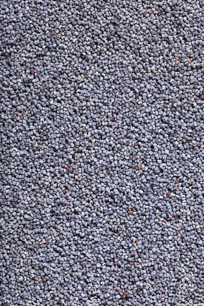 Целые семена мака — стоковое фото