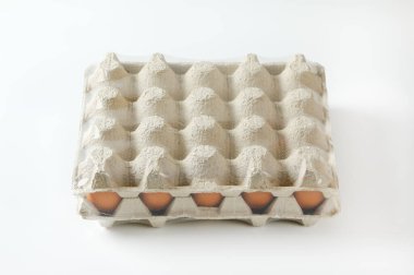 Bir karton taze yumurta.