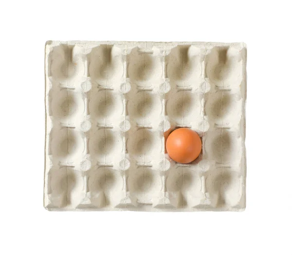 One brown egg in carton isolated on white — Stock Photo, Image