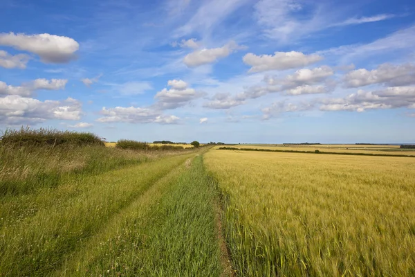 Sommerreitweg — Stockfoto