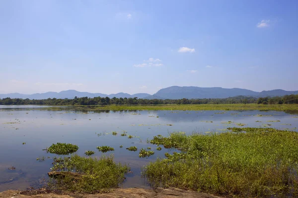 Sri Lanki jezioro w parku narodowym wasgamuwa — Zdjęcie stockowe