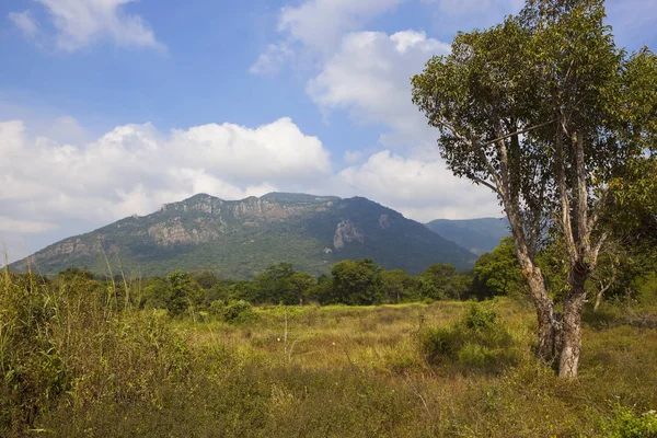 Sri lankan landscape at ritigala — Stock Photo, Image