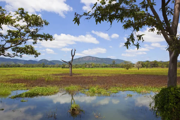 Vackra Sri Lanka landskap Royaltyfria Stockfoton