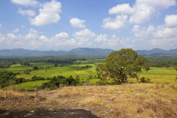 Sri Lankas landsbygdslandskap — Stockfoto