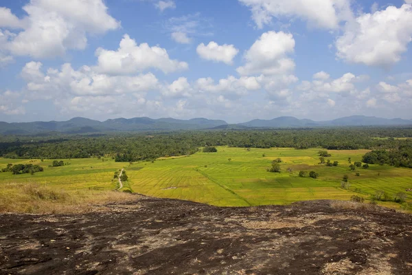 Srílanská krajina Vista — Stock fotografie