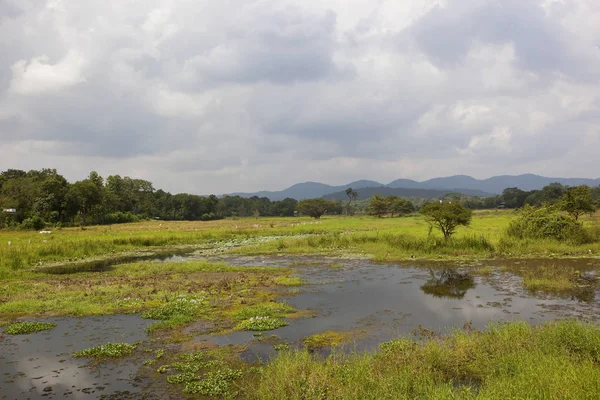 Sri-lankische wasgamuwa-Landschaft — Stockfoto