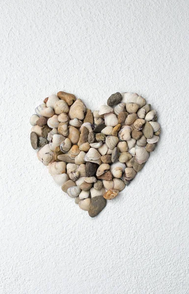 Coração feito de conchas — Fotografia de Stock