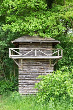 Bir orman içinde ahşap kule