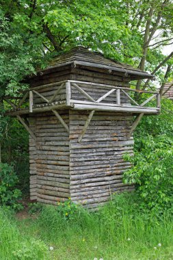 Bir orman içinde ahşap kule