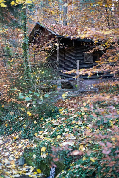 Ξύλινο σπίτι σε ένα δάσος — Φωτογραφία Αρχείου