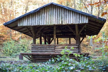Bir orman içinde ahşap kabin