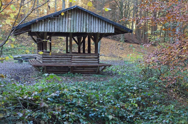 Cabana de madeira em uma floresta — Fotografia de Stock