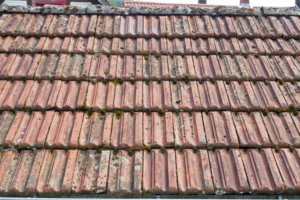 Roof tiles with moss — Stock Photo, Image