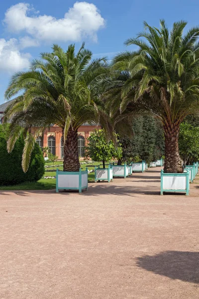 Orangerie garden in Darmstadt (Hesse, Germany) — Stock Photo, Image