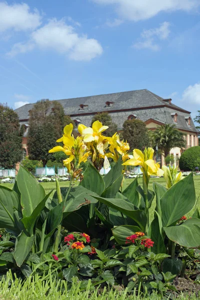 Oranżeria ogrodu w Darmstadt (Hesja, Niemcy) — Zdjęcie stockowe