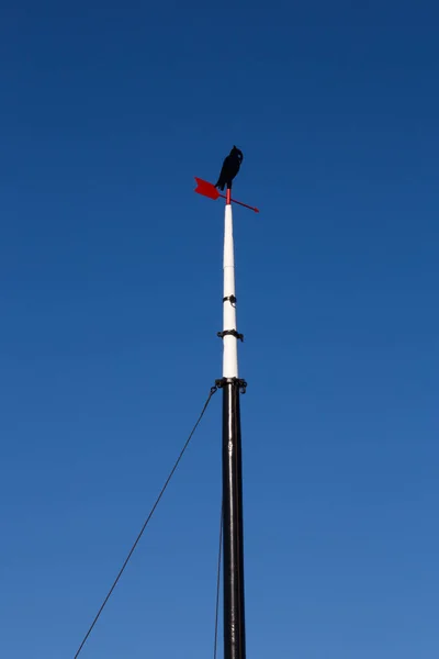 Ship mast of a eel cutter — Stock Photo, Image