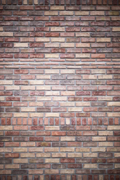 Brick wall, close up