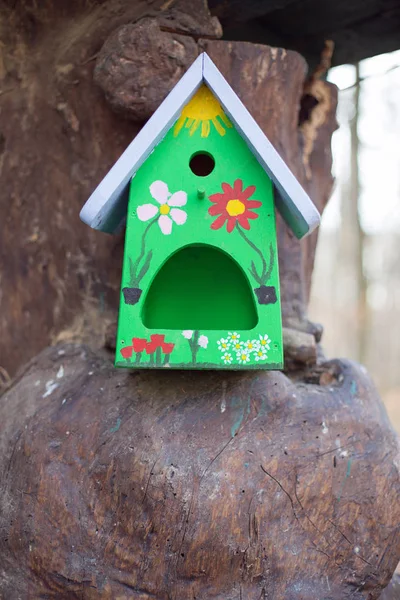 Птичий дом на стволе дерева — стоковое фото
