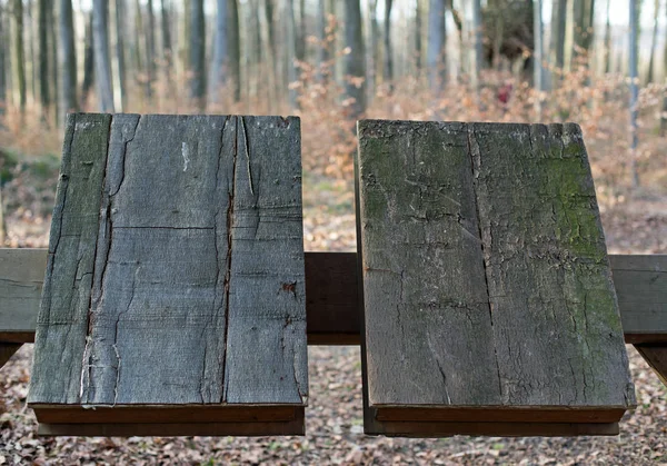 Deux livres en bois — Photo