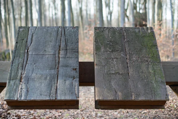 Due libri di legno — Foto Stock