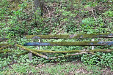 Moss ile ahşap Bank