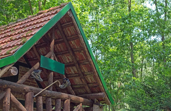 Cabane en bois dans une forêt — Photo