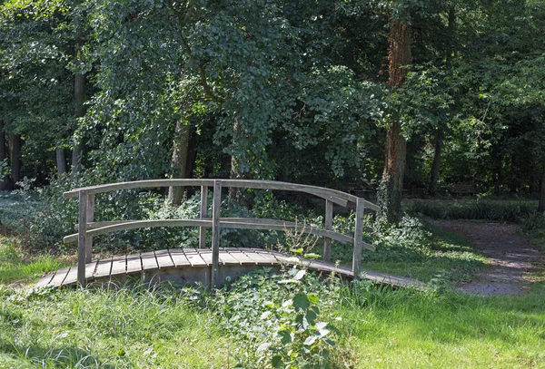 Bridge over a brook in a forest — Stock Photo, Image