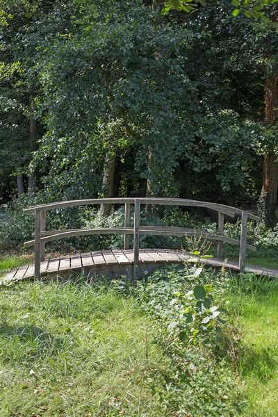 Brug over een beek in een forest — Stockfoto