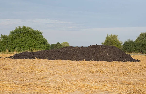 刈った穀物畑に牛糞ヒープ — ストック写真