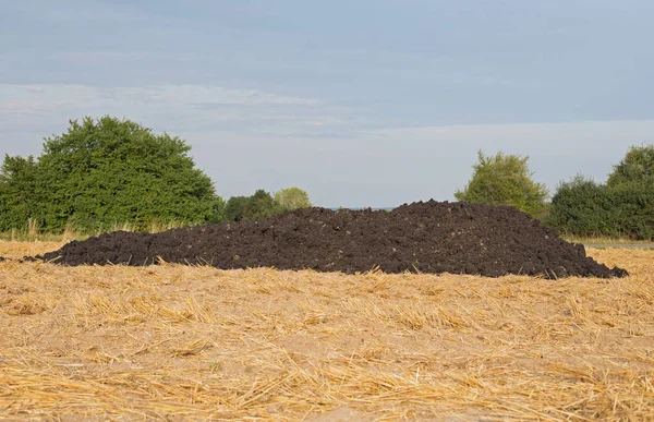 Mest heap op een veld van het gemaaide graan Rechtenvrije Stockafbeeldingen