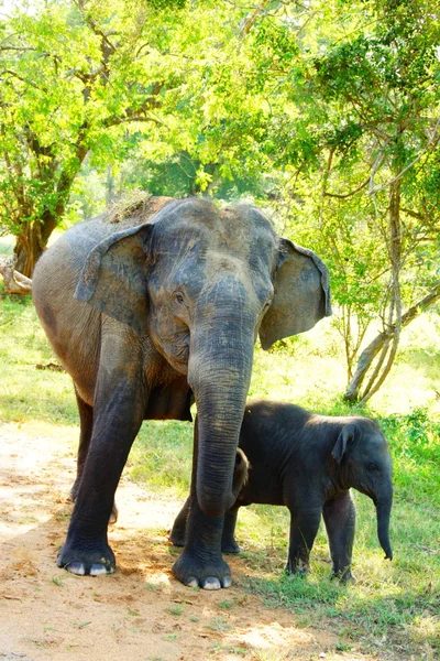 Mother and son — Stock Photo, Image