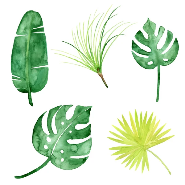 Vektor tropische Aquarellblätter — Stockvektor