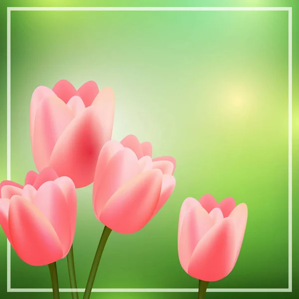 Vector Green Background with Pink Tulips — Stock Vector