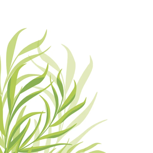 Fond abstrait vectoriel avec feuilles tropicales — Image vectorielle