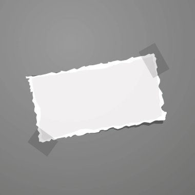 Vektör beyaz not kağıdı