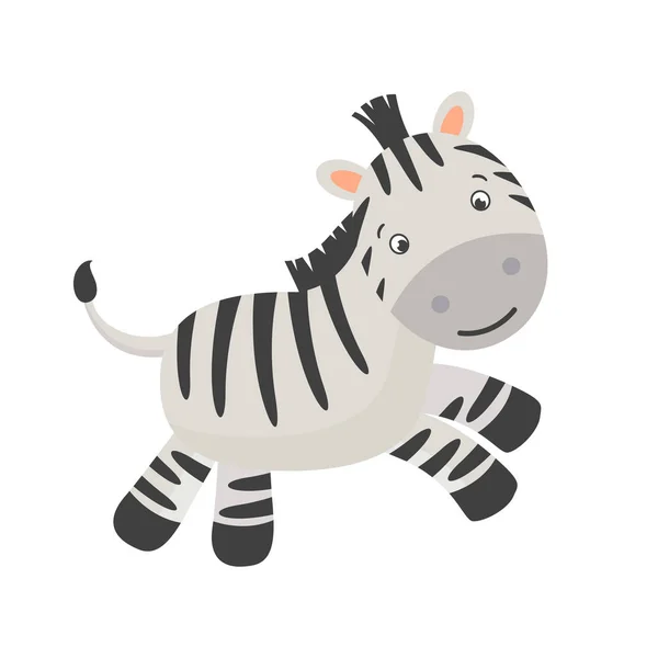 Vektör şirin küçük Zebra — Stok Vektör