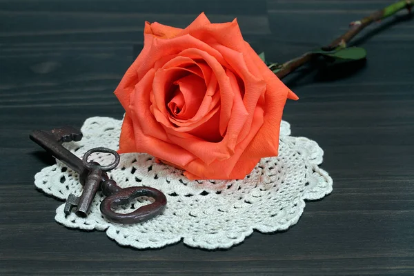 Prachtige oranje rose op een antieke doilie en vintage sleutels. — Stockfoto