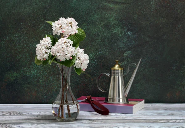 Virburnum Burkwoodi Flowers Vase Still Life Close Copy Space — Stock Photo, Image