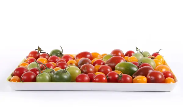 Nature morte avec des tomates de couleur différente — Photo