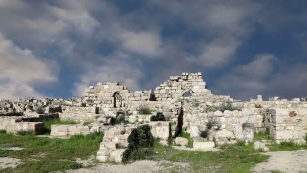 Amman atrakcji--stary rzymski Cytadeli hill, jordan — Wideo stockowe