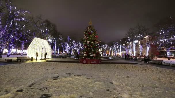 Nieuwjaar en Kerstmis verlichting decoratie van de stad, Novopushkinsky Square, Moskou. Rusland — Stockvideo