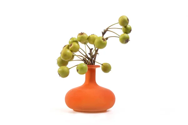 Pequenos ramos de árvore de pêras verdes naturais em um vaso de vidro em um fundo branco — Fotografia de Stock