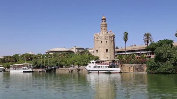 Torre del Oro lub Golden Tower (XIII w.) nad Guadalquivir rzeki, Sewilla, Andaluzja, Południowa Hiszpania — Wideo stockowe