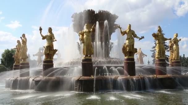 Fountain Friendship of Nations-VDNKH (Centro Espositivo di tutta la Russia), Mosca, Russia — Video Stock