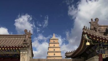 Dev Vahşi kaz Pagodası veya büyük vahşi kaz Pagodası olduğu bir Budist pagoda Güney xian (sian, xi'an), shaanxi Eyaleti, Çin bulunmaktadır.        