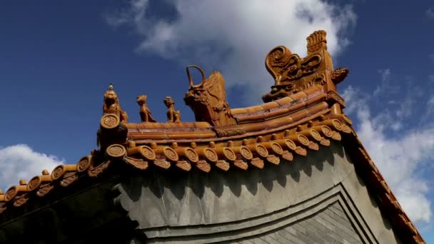 Decoração tradicional do telhado de um templo budista, Pequim, China — Vídeo de Stock