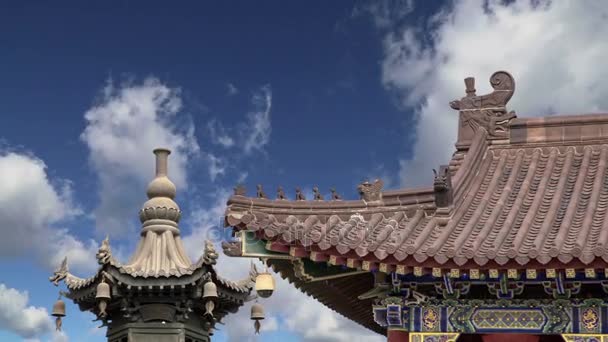 Pagode de Ganso Selvagem Gigante ou Big Wild Goose Pagoda, é um pagode budista localizado no sul de Xian (Sian, Xi 'an), província de Shaanxi, China — Vídeo de Stock