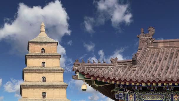 Giant Wild Goose Pagoda o Big Wild Goose Pagoda, è una pagoda buddista situata nel sud di Xian (Sian, Xi'an), provincia dello Shaanxi, Cina — Video Stock