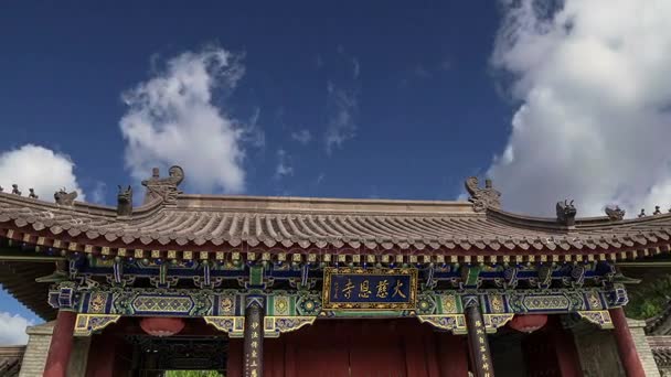 屋顶上领土巨型大雁塔装饰，是一座佛教宝塔，位于中国陕西省西安南部 (西安，西安) — 图库视频影像