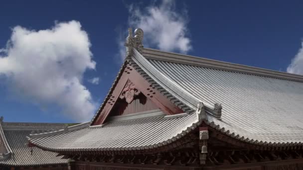 Décorations de toit sur le territoire Pagode d'oie sauvage géante, est une pagode bouddhiste située dans le sud de Xi'an (Sian, Xi'an), province du Shaanxi, Chine — Video